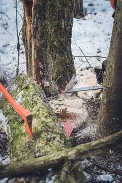 An axe in a log Stock Photos