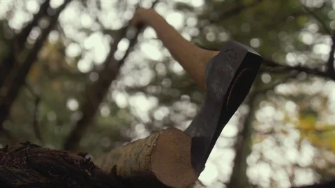 Axe In Log Woods Stock Footage 82585774