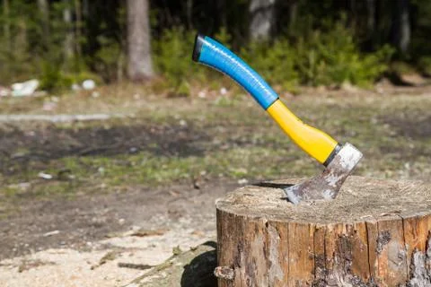 The axe in a log in the woods Stock Photos
