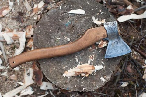 Axe lying on a log, wood chips scattered around, carpenter's axe for cutting Stock Photos