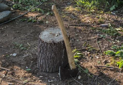 Axe near a log. Foto stock