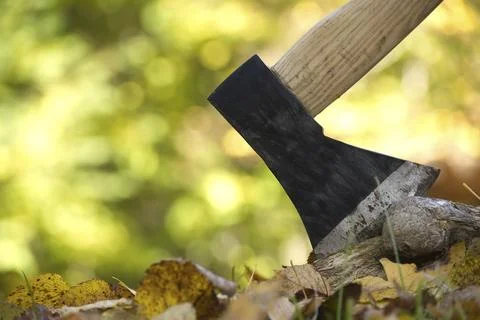 Axe or chopper stuck in a log of wood in a forest, close up side view. 写真素材