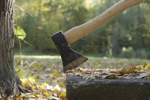 Axe or chopper stuck in a log of wood in a forest, close up side view. Foto stock