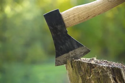 Axe or chopper stuck in a moss covered log of wood in a forest, close up side Stock Photos