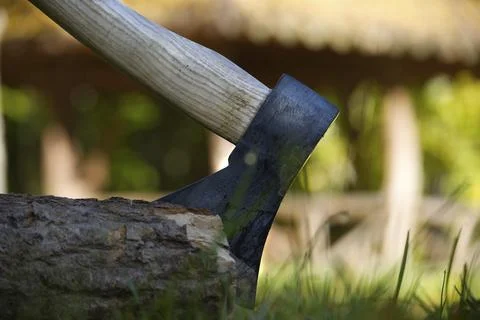 Axe or chopper stuck in a moss covered log of wood in a forest, close up side Foto stock