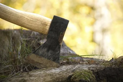 Axe or chopper stuck in a moss covered log of wood in a forest, close up side Foto stock