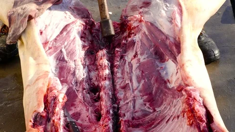 Axe in the pig's body Stock-Footage 78930847