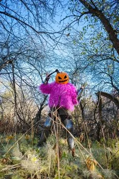 Axe in pumpkin Stock Photos