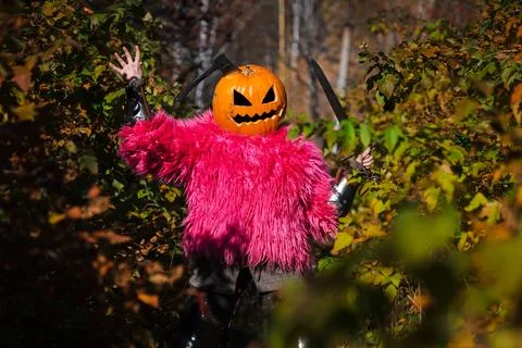 Axe in pumpkin Stock Photos