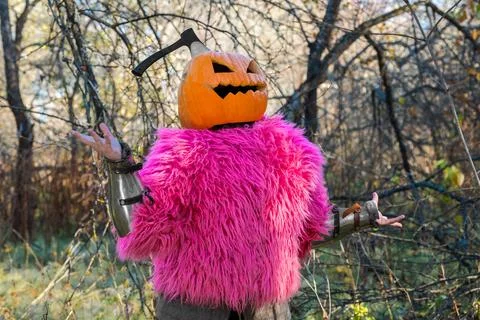 Axe in pumpkin Stock Photos