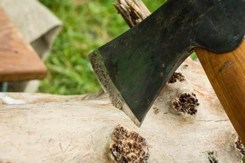 Axe ready for cutting timber. Stock Photos