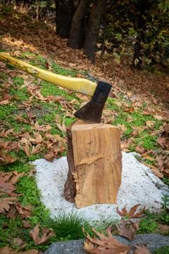 Axe with sharp blade to cut wood  for a  fireplace for heating during wintert 写真素材