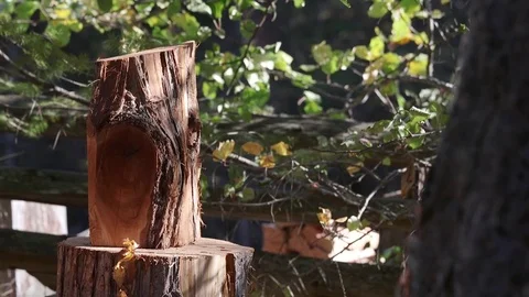 Axe Splitting Firewood On A Sunny Day 스톡 동영상 82672453