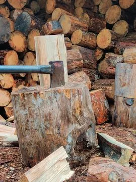An axe stuck in a chopping block with split firewood pieces scattered around  Stock Photos