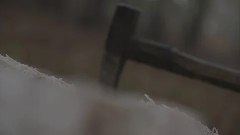 Axe stuck in a trunk 스톡 동영상 92316479