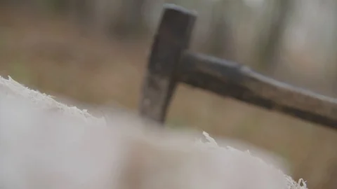 Axe stuck in a trunk Видео 92889802