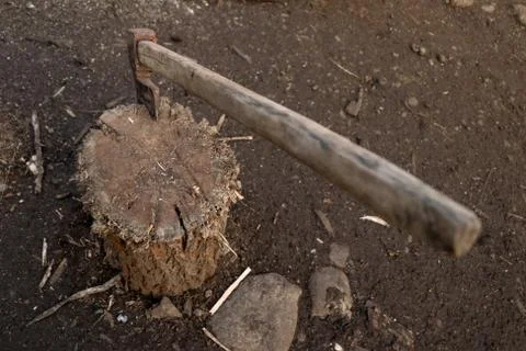 An axe stuck in a trunk Stock Photos