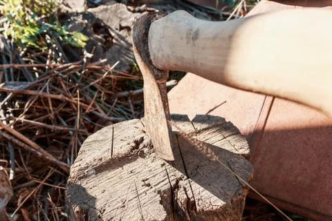 Axe in stump. Axe ready for cutting timber.Woodworking tool. Stock Photos