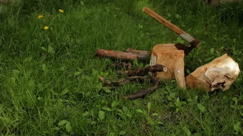 Axe in the stump Stock Footage 34424418