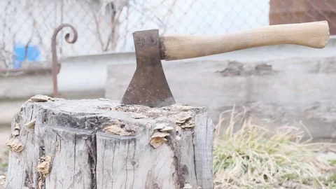 Axe in the stump Stock Footage