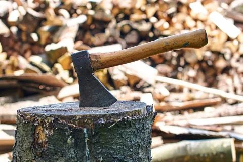 Axe in the stump Foto stock