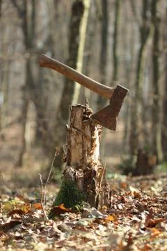 Axe in a stump Stock Photos