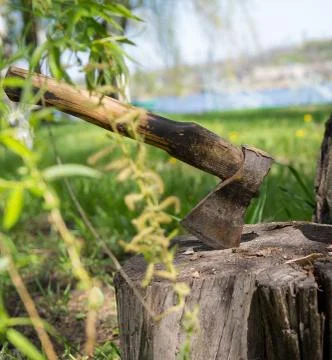 Axe in a stump Stock Photos