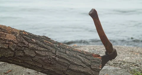Axe in a tree against the background of a reservoir Stock Footage 130604626