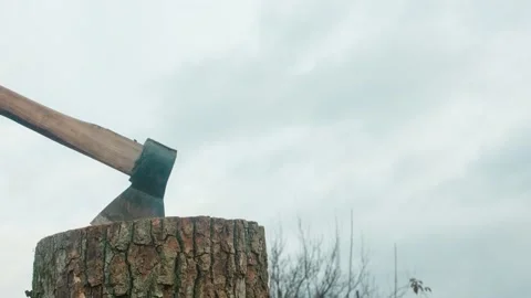 Axe In A Tree Stump Vídeo Stock 169926750