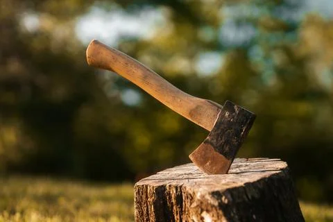 Axe in a tree stump, log cutting lumberjack tools Stock Photos