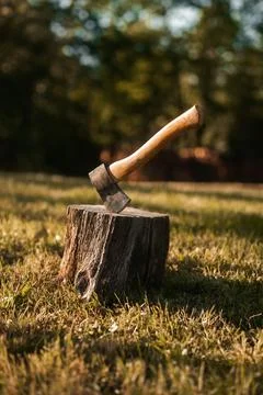 Axe in a tree stump, log cutting lumberjack tools Stock Photos