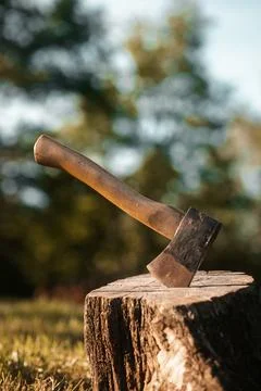 Axe in a tree stump, log cutting lumberjack tools Stock Photos