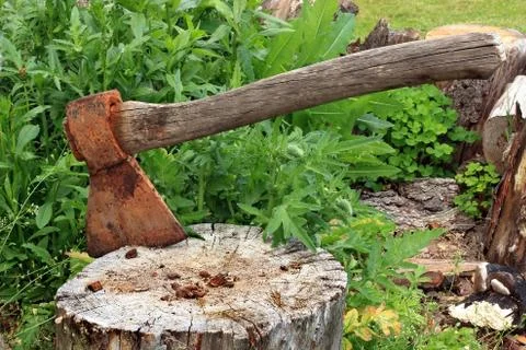 Axe in a tree stump Stock Photos