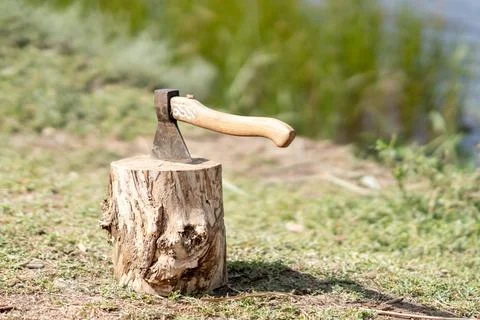 Axe tree stump Stock Photos