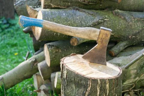 Axe in tree trunk Stock Photos