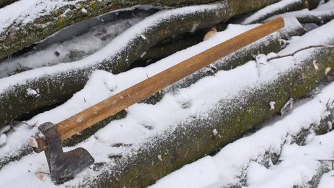 Axe In A Tree In Winter Stock Footage 87699349