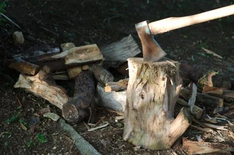 Axe in wood Stock Photos