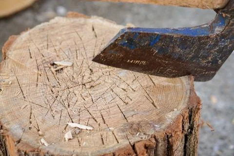 Axe in wood Stock Photos