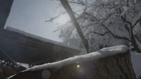 Axe in a wood trunk Stockbeeldmateriaal 92299541