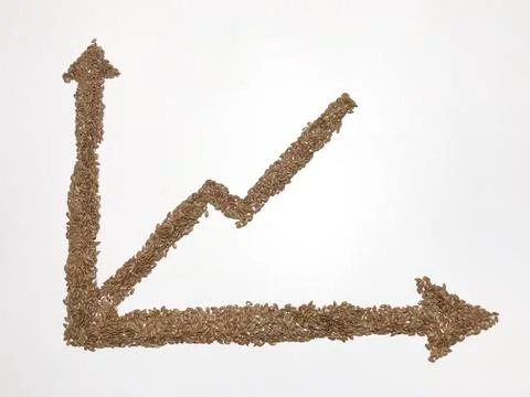 The axis of the coordinates and the graph depicted with the help of flax seed Stock Photos