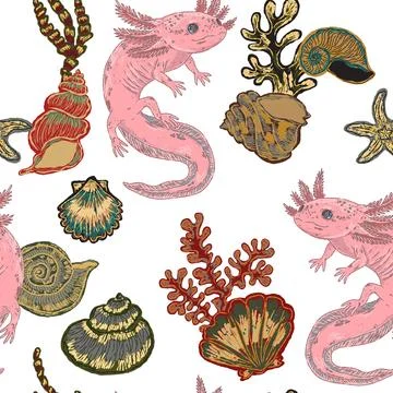 Axolotl and Shells Seamless Pattern. This vintage illustration is hand-drawn  Stockillustratie