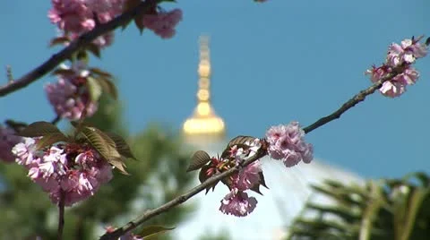 Aya Sofya (Hagia Sophia) e Stock Footage 12167656