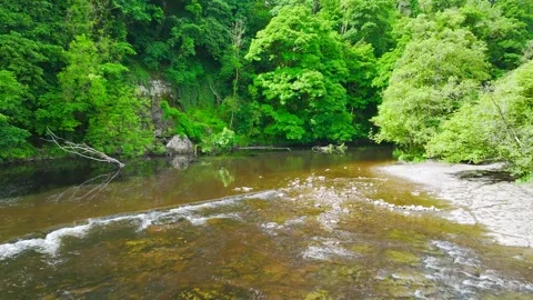 Aysgarth Falls on River Ure, Yorkshire Dales National Park, North Yorkshire, UK Stock Footage 277304542