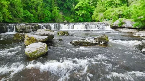 Aysgarth Falls on River Ure, Yorkshire Dales National Park, North Yorkshire, UK Video stock 277304557