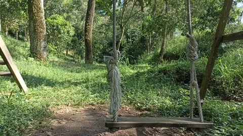 Ayunan 2 Stock Footage 274264636