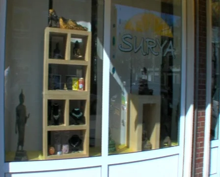 Ayurvedic Institute Stock Footage 642959