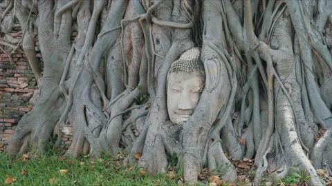 Ayutthaya buddha head in tree roots, Buddhist temple Wat Mahathat in thailand Stock Footage 166500244