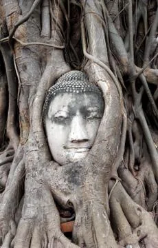 Ayutthaya Stock Photos