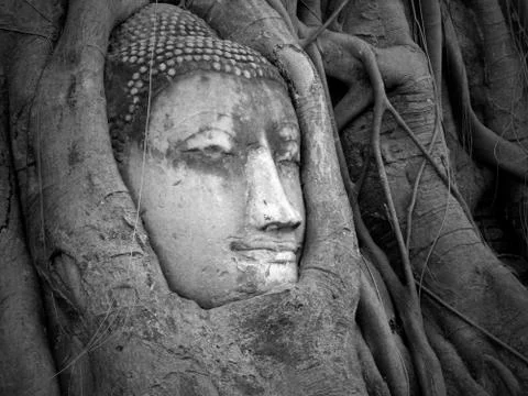 Ayutthaya Stock Photos