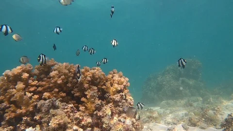 AYVA5494 Stock Footage 128032865